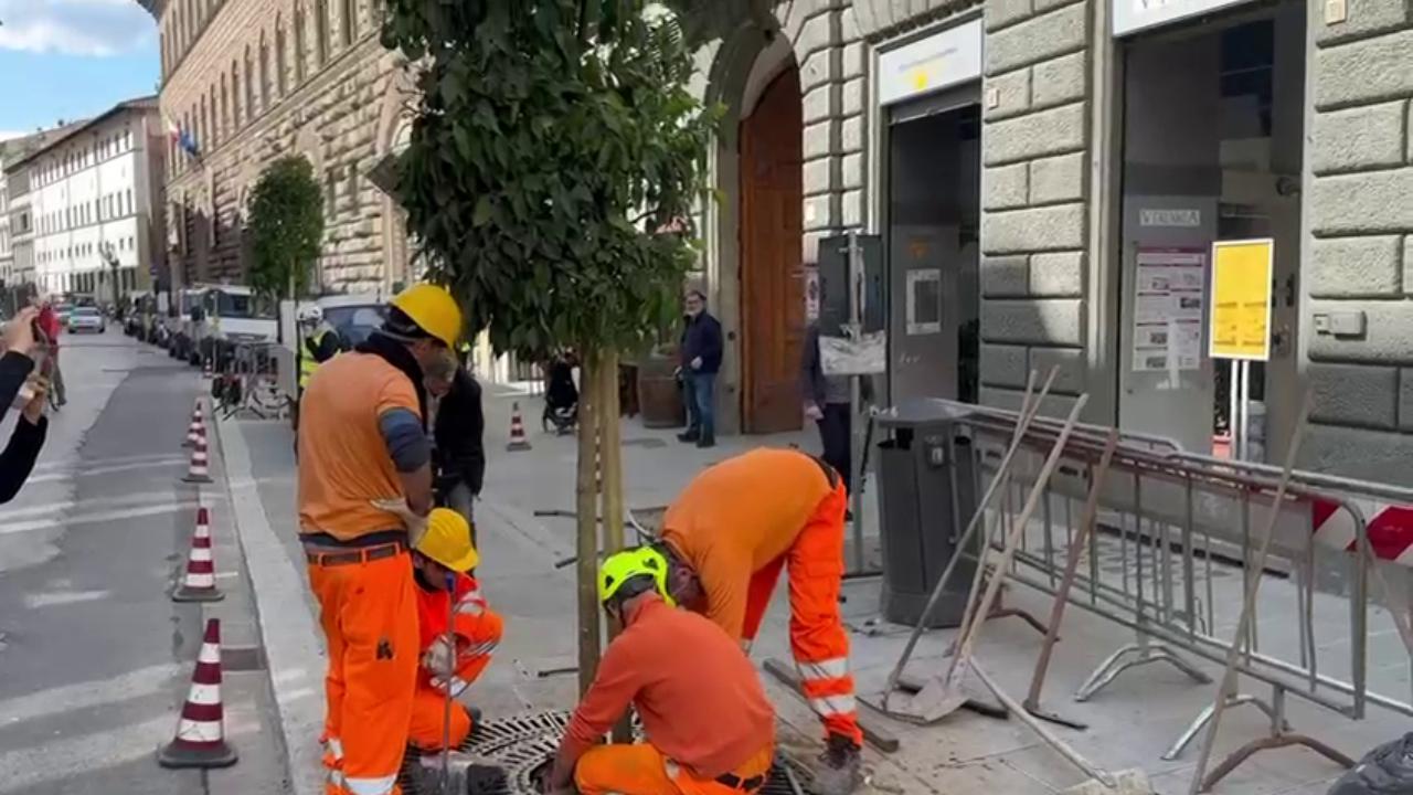 Department 56 Set Di 3 Alberi Nudi Con Floccaggio Arancione Per Villaggi Decorativi Di Halloween