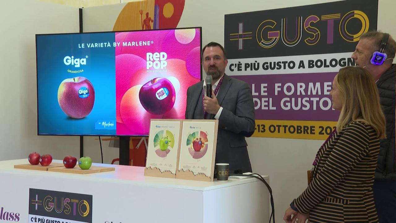 Pasta Sverminante Per Cavalli Gusto Mela - Confezione 1-10 Pezzi, Scadenza 2027