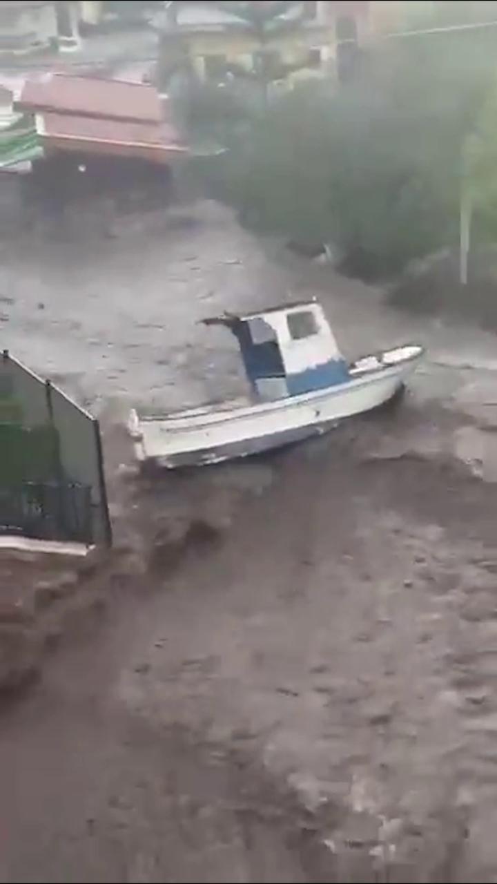Pescare a mare, canna bolognese e mulinello a recupero rapido | Yacht e