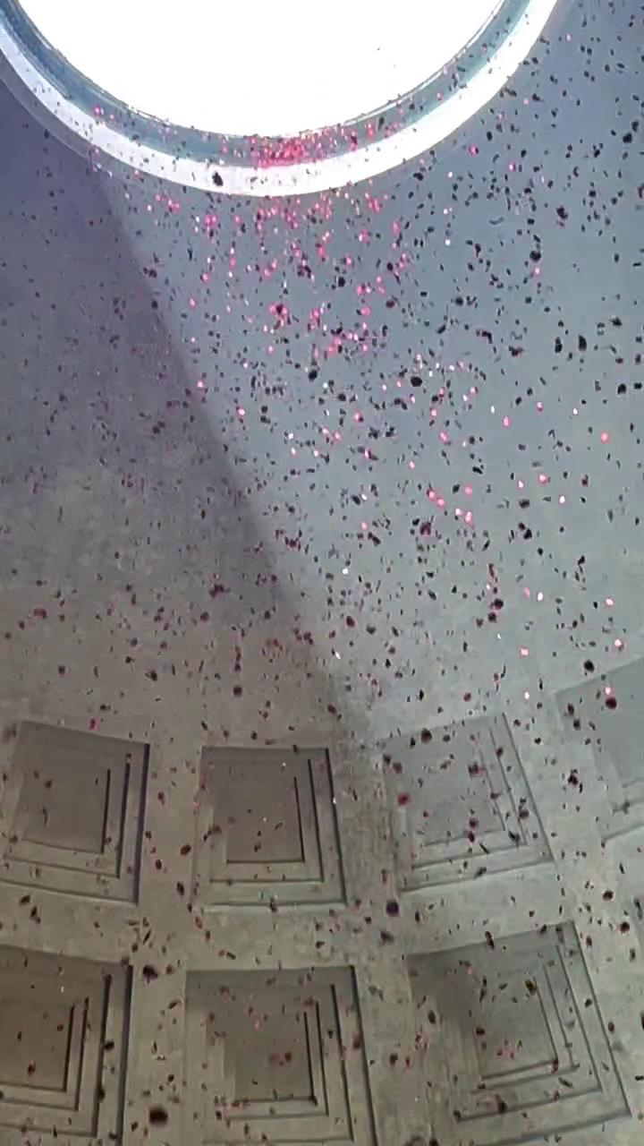 Roma, pioggia di petali di rose rosse dall'Oculus del Pantheon - La Stampa