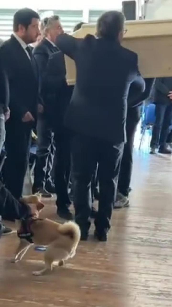 Crans-Montana, così il cane di Cyane Panine reagisce all'arrivo della ...